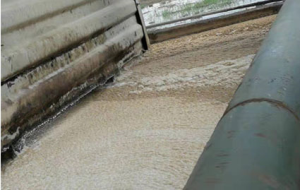 LY-511粘泥剝離劑