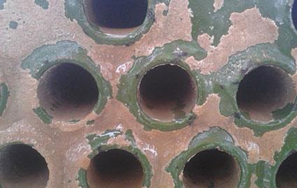 污水調(diào)質(zhì)劑  去味劑  工業(yè)清洗劑