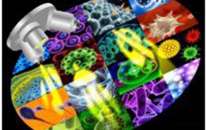 脫硫脫銷(xiāo)絮凝劑  COD降解劑