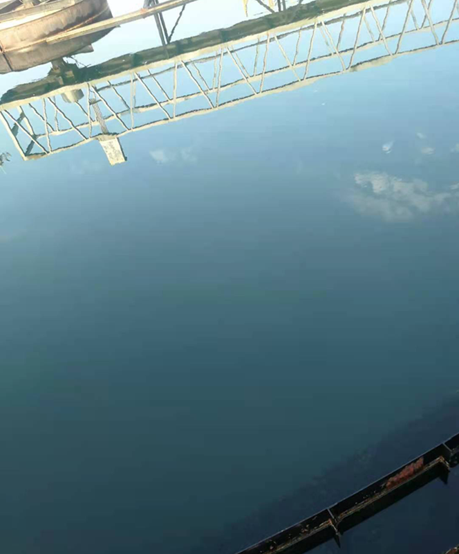 QQ圖片20230221103945 QQ圖片20230221103945