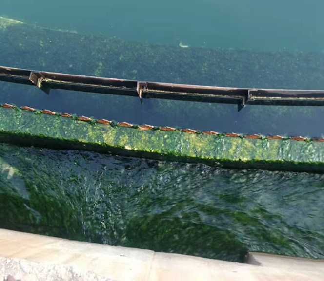 QQ圖片20230221104016 QQ圖片20230221104016